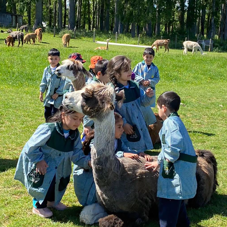 Salida Pedagógica Llamas 5